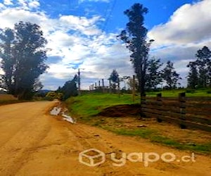 Los Aromos de Tilicura Vichuquén