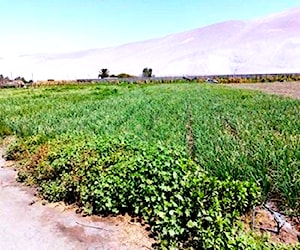   hermoso terreno en lluta / arica