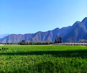 Terreno agricola de 30 hectareas en Isla de Maipo