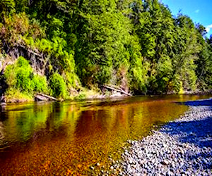 Tres hectáreas borde río, quemchi chiloé