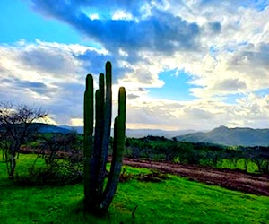 Parcelas con hermosas vistas en Hualañé 