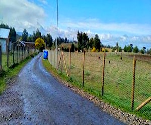 Terreno FUNDO EL CARMEN 5000m2