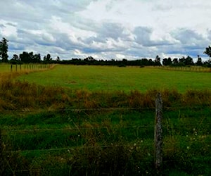 Venta campito Calbuco Trapi de Rio Bueno