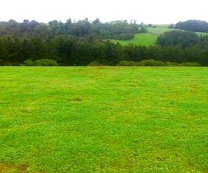 terreno 5,76 ha en carahue