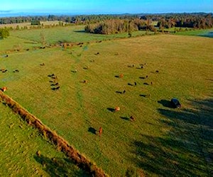 Agricola Campo en Puerto Octay Ruta U95