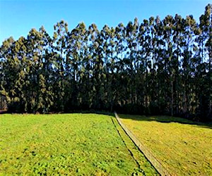 Parcela Fundo Praderas de Puerto Varas