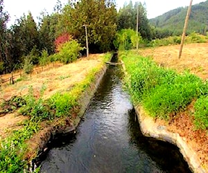 SAN CLEMENTE , ACCIONES DE AGUA, TRANQUE (2477)