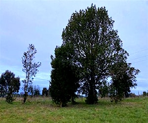 Parcela Cuesta Gómez Puerto Montt