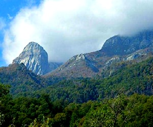 GRAN PREDIO CORDILLERANO // LINARES (2429)