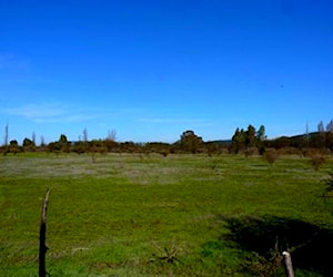 Terreno 27,4 ha proyecto agrícola. Cauquenes VIIR