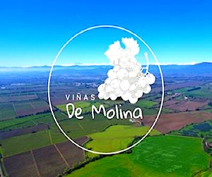 Lanzamiento de proyecto ¡Viñas de Molina
