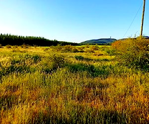 Terreno de 900 ha ideal energía/agrícola