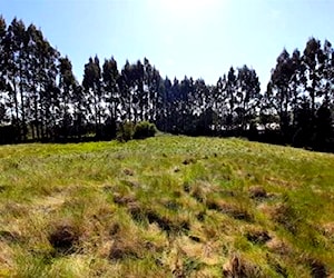 SITIO Salida Norte Puerto Varas