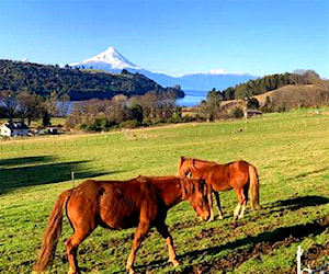 Parcela Frutillar Totoral