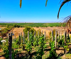 SITIO El Chequen - El Chequen - Libertador &#8230;