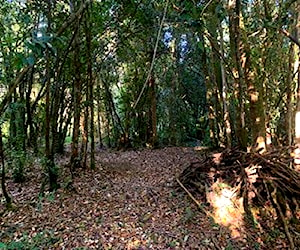 Parcela Reserva Santa Clara Línea Nueva Puerto V