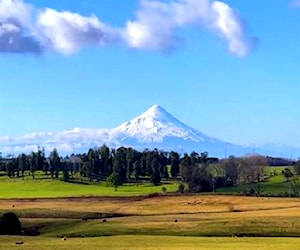 AGRICOLA Nueva Braunau Puerto Varas