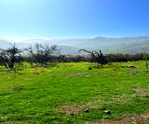 Sitio Santa María de Chamisero 1 Colina