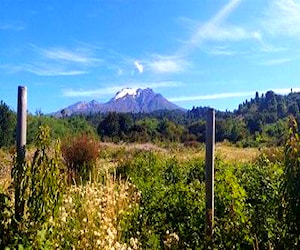 Parcela Camino a Ensenada km 37 Puerto Varas