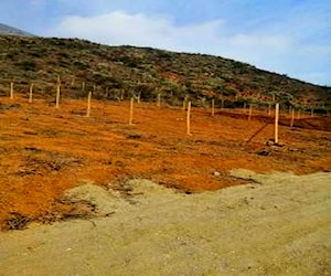 Terreno en Pichidangui