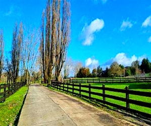 Parcelación Los Laureles Del Maullín 100 Llanq