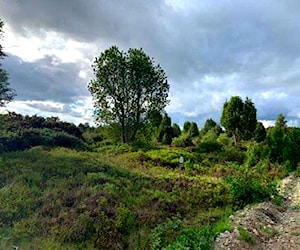 Parcela Club de campo Residencial Puerto Varas