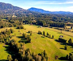 Parcelas Lago Panguipulli (11439)