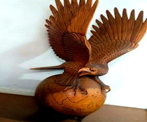 <p>Águila sobre la tierra</p>