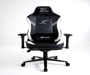 <p>Silla Gamer Onuris Pro Black White</p>