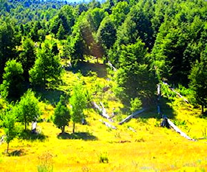 PARCELA EN MELIPEUCO frente nevados de sollipulli