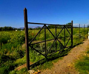 Terreno 2 hectareas San Antonio de Naltagua