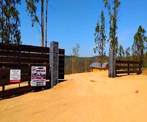 Bosques de Paredones