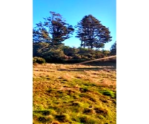 Terreno en Rosario (comuna de Calbuco)