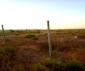 Parcela 5000 mts Guanaqueros