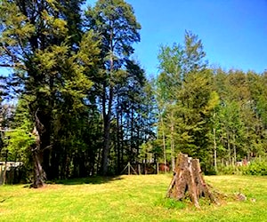 Sitio camino a Caburgua PucóN