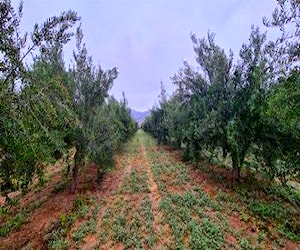 Parcela en venta en sector Piedra Colgada Fundo Sa