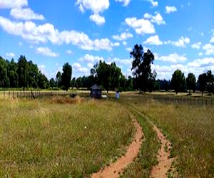 Terreno 5.000 M2,Hacienda Lautaro