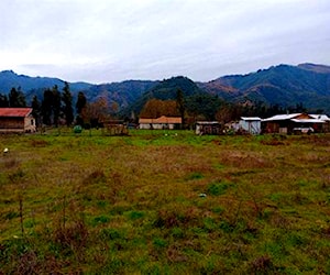 Parcela Chequenlemu Los Niches Curicó