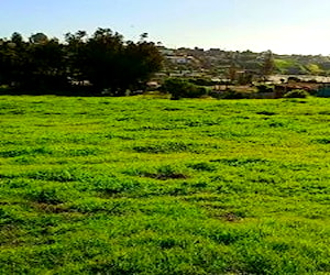 Terreno maitencillo