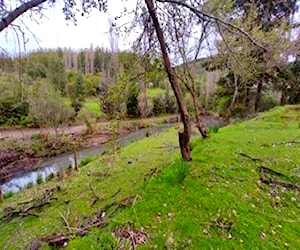 5.000mt2 Sector Rincón de los Muñoces , San Cleme