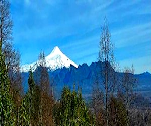 Parcelas ecológicas con Bosque Nativo entre Pucon