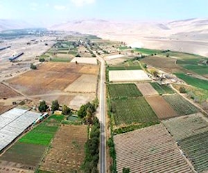 10 hectareas en carretera valle lluta arica