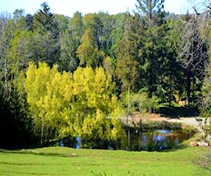 Parcela Camino villarrica loncohe