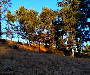 Parcela en panguipulli