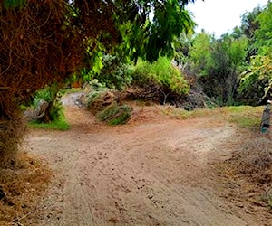 Sitio Unimarc regimiento arica La Serena