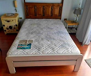 <p>Cama 2 plazas con colchon</p>