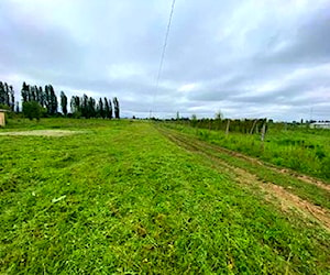   terreno longaví la quinta