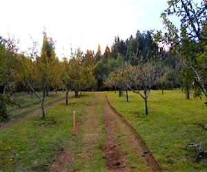 Venta de Sitios Sector El Arenal. Valdivia