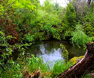 Predio a orilla de estero, Saltos del Laja