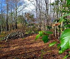 terreno en pucón 